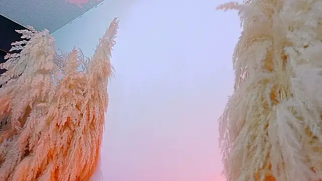 JulietaDavis online show from February 19, 8:10 am