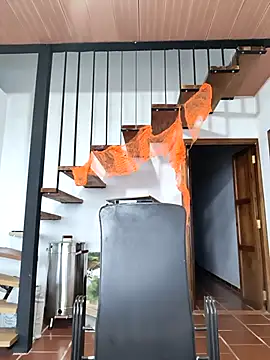 Hiroshi Shen online show from November 5, 11:21 am