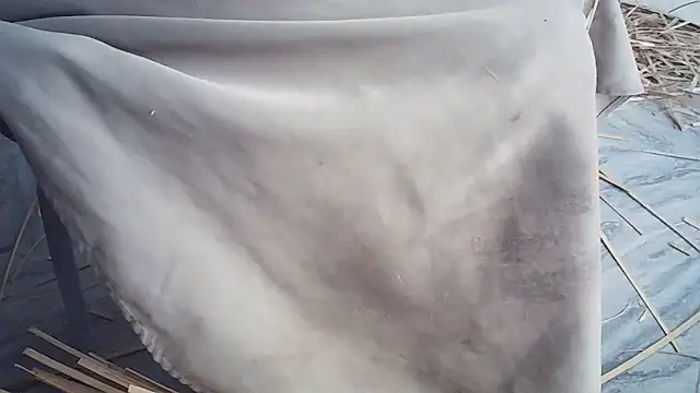 Elisa24 online show from January 14, 1:22 am