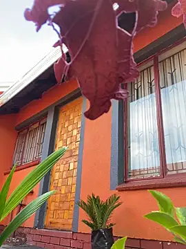 BaggyDirt online show from February 24, 6:44 am