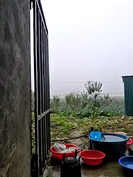 yoowwmr online show from November 12, 12:11 am