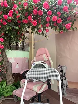 Bollozzy 89 online show from October 4, 4:54 am