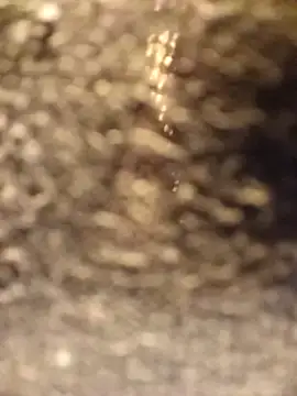 Snapshot of Venessa chatting on December 5, 1:14 am Venessa online show from December 5, 1:14 am