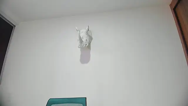 Snapshot of Dagoti chatting on January 31, 8:07 pm Dagoti online show from January 31, 8:07 pm