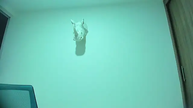 Snapshot of Dagoti chatting on February 3, 1:26 am Dagoti online show from February 3, 1:26 am