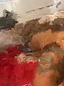 morenaluaa online show from October 22, 4:40 pm