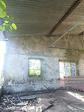 Snapshot of Sunny_cute_love chatting on October 6, 3:04 am Sunny cute love online show from October 6, 3:04 am