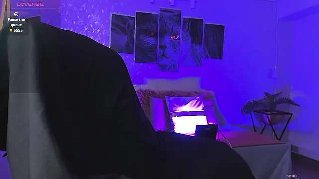 nils saint online show from January 13, 3:12 am