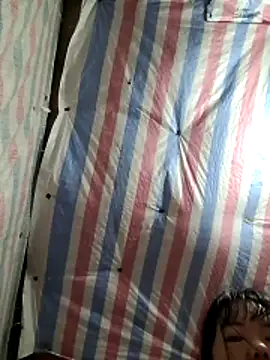 Many lize online show from February 3, 7:35 am