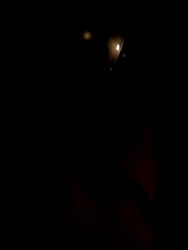 dutch girl lover online show from October 5, 9:07 am