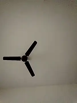 Snapshot of shreyas79 chatting on October 26, 6:19 am shreyas79 online show from October 26, 6:19 am