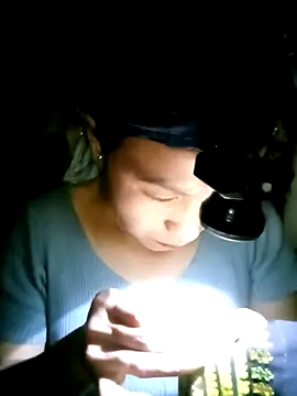 nasy lady online show from October 12, 12:37 pm