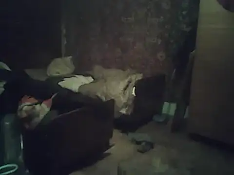 Snapshot of A1B3- chatting on February 2, 3:55 pm A1B3- online show from February 2, 3:55 pm