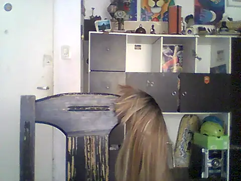 Bebita-zmp online show from May 21, 4:03 pm