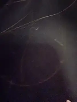 Natalia vidal online show from November 6, 1:12 pm