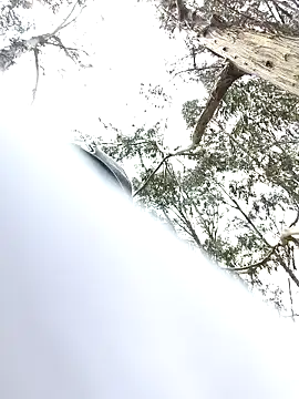 Thomasjons  online show from April 14, 4:46 pm