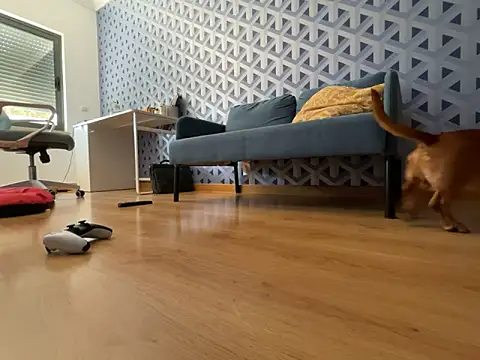 Snapshot of cumman789860 chatting on October 2, 2:35 pm cumman789860 online show from October 2, 2:35 pm