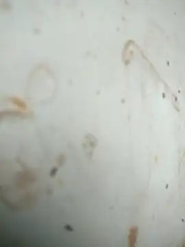 Mounstro3 online show from November 28, 4:42 pm