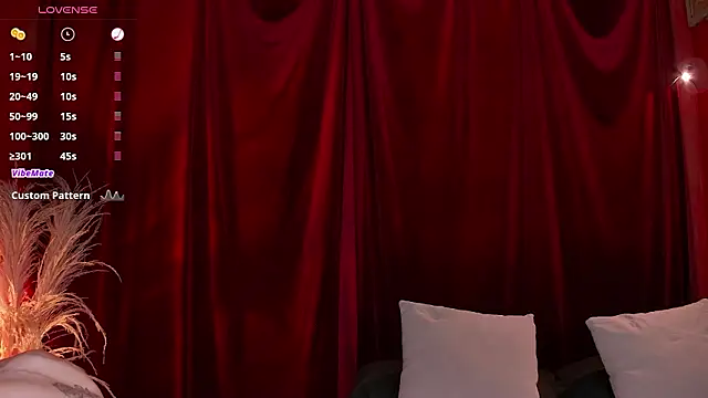 VicenteFerrer online show from February 1, 7:34 pm