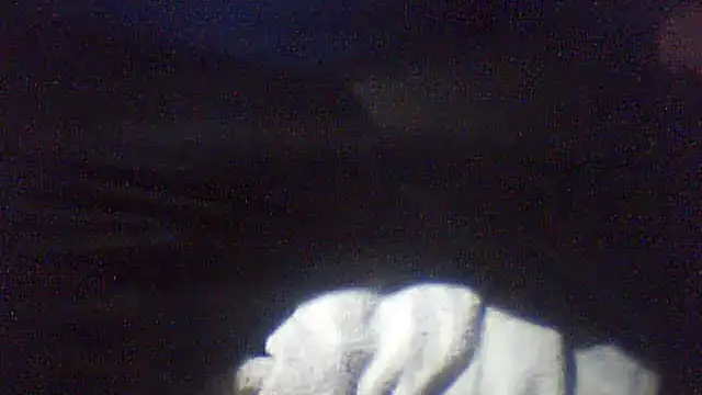 pietje1991 online show from February 10, 1:10 am