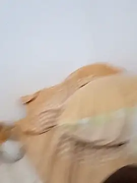 Blackpanther0115 online show from October 3, 10:34 am