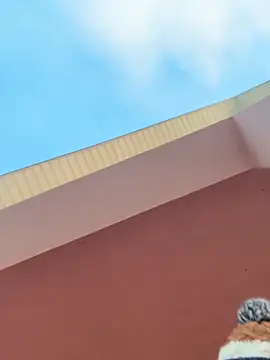 Michel huge online show from February 11, 5:45 am