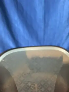 Rashi-48 online show from November 17, 6:03 pm