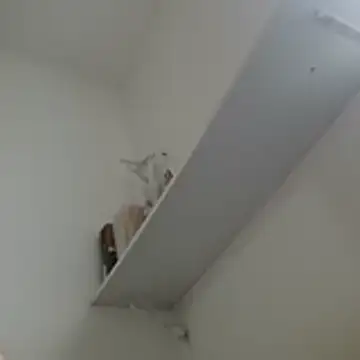 Snapshot of Crocante_Hot chatting on July 4, 9:48 am Crocante Hot online show from July 4, 9:48 am