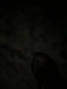 Snapshot of theone3121 chatting on October 15, 11:43 am theone3121 online show from October 15, 11:43 am