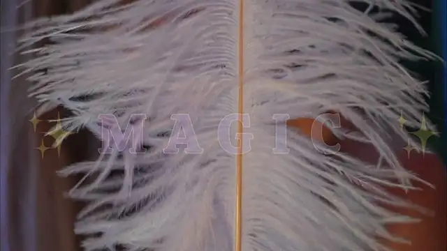 Alvuwkaa online show from January 10, 9:44 am