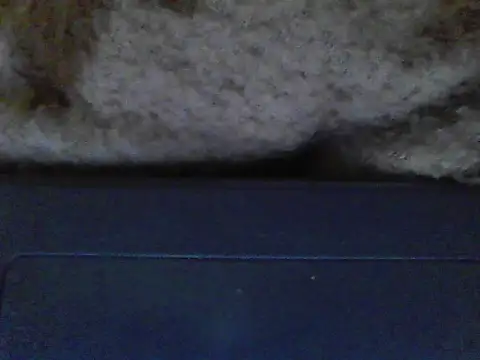 ursdreamperson online show from December 21, 5:09 pm