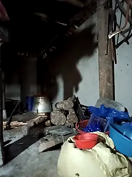 Snapshot of Exembin chatting on September 17, 3:08 am Exembin online show from September 17, 3:08 am