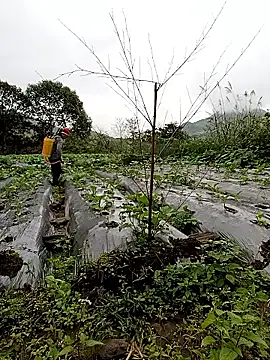 Snapshot of Exembin chatting on October 24, 1:57 am Exembin online show from October 24, 1:57 am