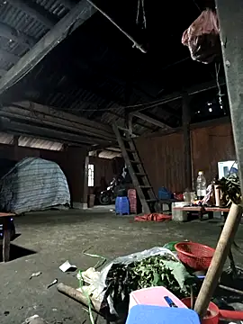 Snapshot of Exembin chatting on November 8, 9:42 am Exembin online show from November 8, 9:42 am