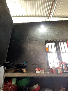 Sunny lotus online show from November 16, 4:29 am