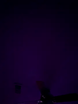 Snapshot of honestlychina chatting on October 10, 8:46 am honestlychina online show from October 10, 8:46 am