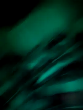 Junani2231 online show from November 12, 1:39 am