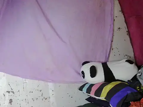 violen786 online show from October 29, 7:54 am