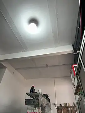 Terra-22cm online show from March 1, 2:30 pm