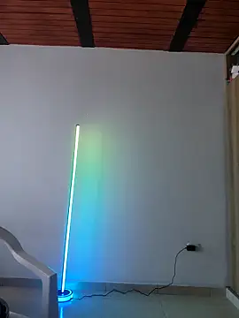 Sharon Black online show from November 9, 3:10 pm