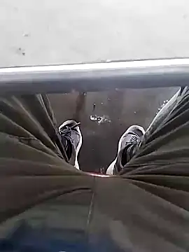 Aliyeni1 online show from December 1, 9:25 am