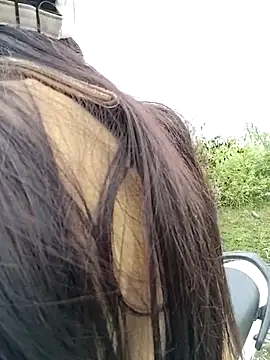 asian 2k online show from November 23, 1:16 am