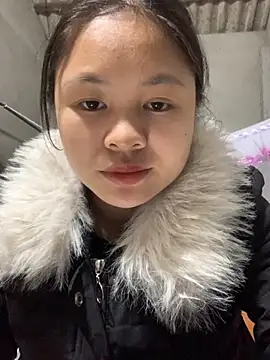 NhuFox online show from November 12, 2:56 am