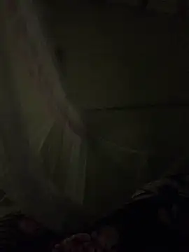 NhuFox online show from November 19, 2:17 pm