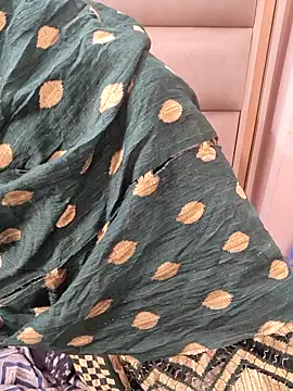 Indian-Aleena online show from February 17, 5:26 am