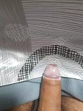 ratoncito 3 online show from November 11, 9:42 am