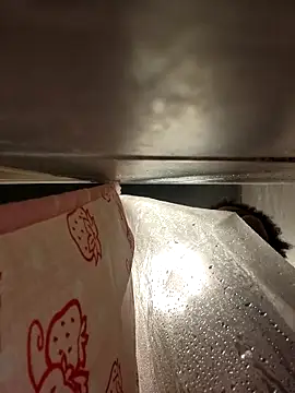 chocolate bella online show from February 22, 5:19 am