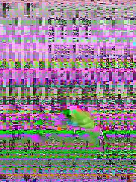 Snapshot of bihf_dam chatting on April 14, 8:48 pm bihf dam online show from April 14, 8:48 pm