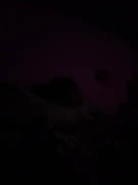 RandalHot online show from April 9, 9:04 am