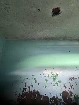 RandalHot online show from April 15, 6:04 pm